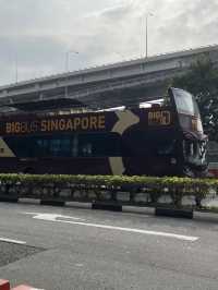 🎒 รีวิวเที่ยวสิงคโปร์🇸🇬
