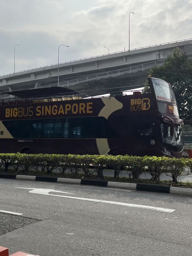 🎒 รีวิวเที่ยวสิงคโปร์🇸🇬
