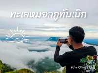 ทะเลหมอกภูทับเบิก จ.เพชรบูรณ์