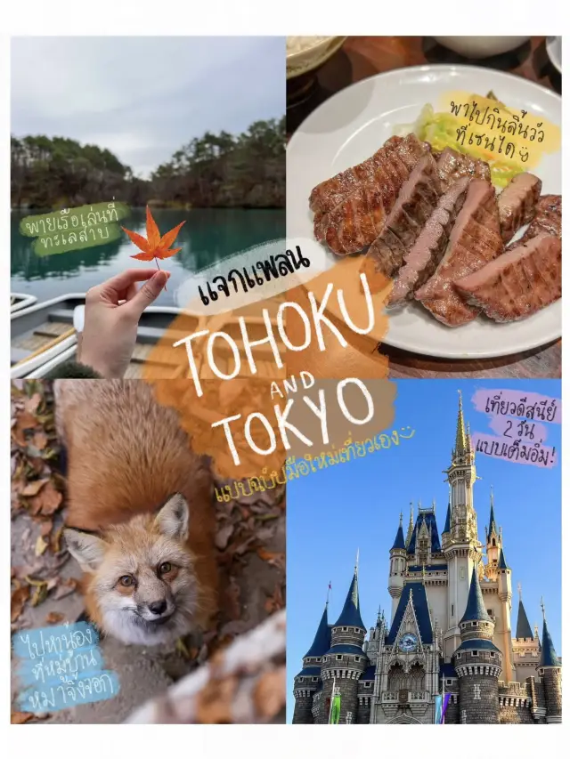 Traveling Japan on your own for 10 days, let's go!