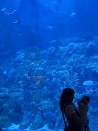 生日的海洋公園