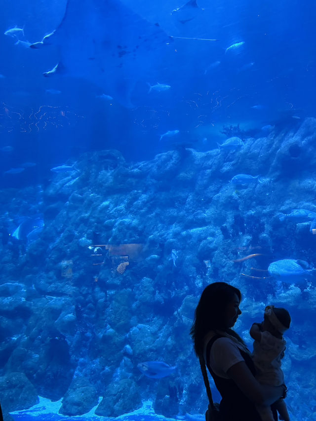 生日的海洋公園