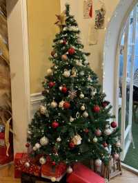 크리스마스 트리 카페는 여기여기 가세요 🎄