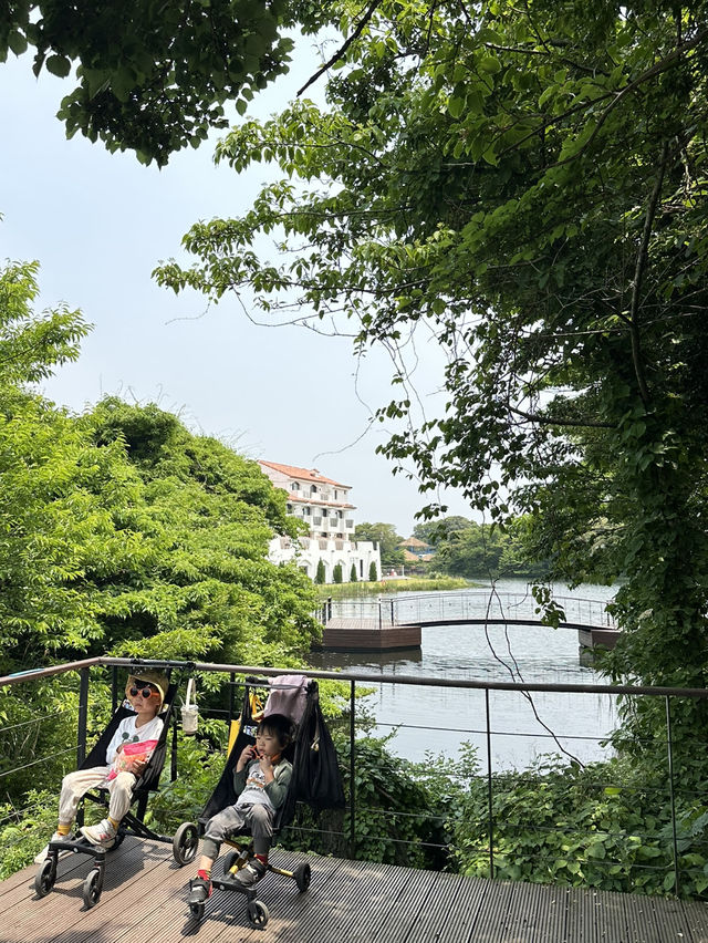 濟州島 Ecoland 生態主題樂園