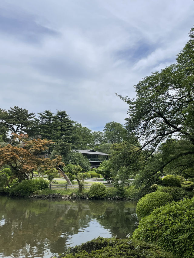 🌸 도쿄 북적임 너머의 고요, 신주쿠의 반전 매력