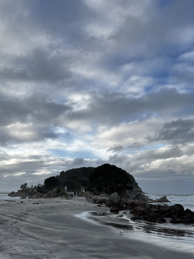 Surfer harbour in NZ!
