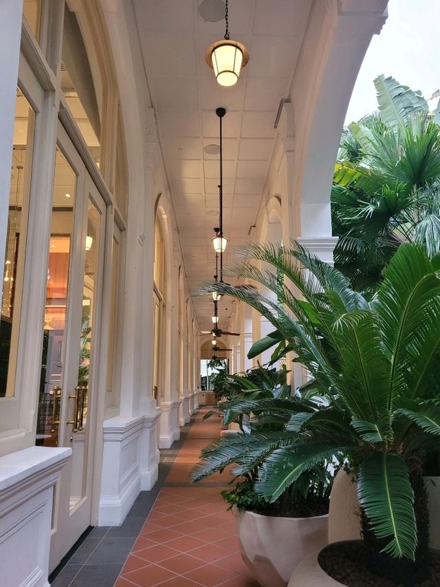 Raffles Hotel's Hidden Garden, Bar and Billiards Room