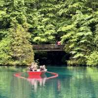 探訪阿爾卑斯山間的秘境～藍湖Blausee