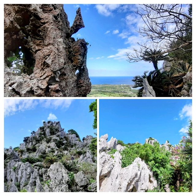 やんばる（北部）で冬の沖縄を楽しもう