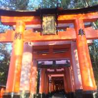 【京都】伏見稲荷大社を満喫⛩️