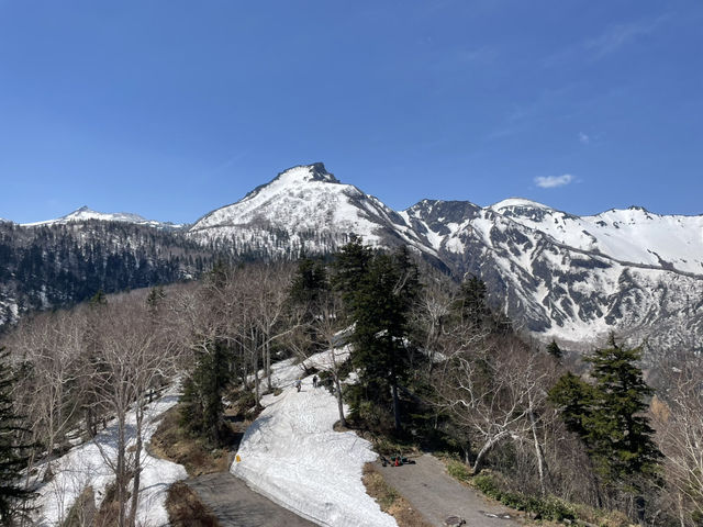 五月雪的層雲峽
