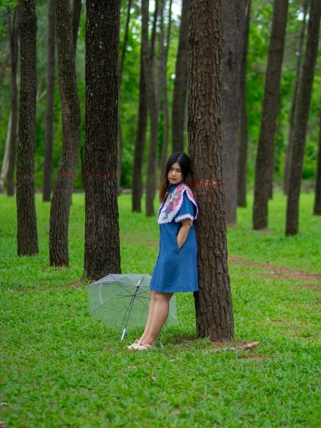 สวนสนแม่แตง จังหวัดเชียงใหม่ 