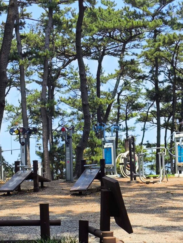 韓國 蔚山 大王岩公園 由釜山乘東海線轉巴士 美不勝收