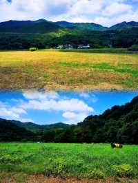 少眾景美雞麻峒