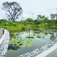 Tranquil Escape: A Zen Stroll Through Japanese Garden Singapore 🇸🇬