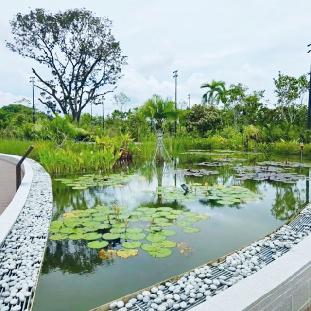 Tranquil Escape: A Zen Stroll Through Japanese Garden Singapore 🇸🇬