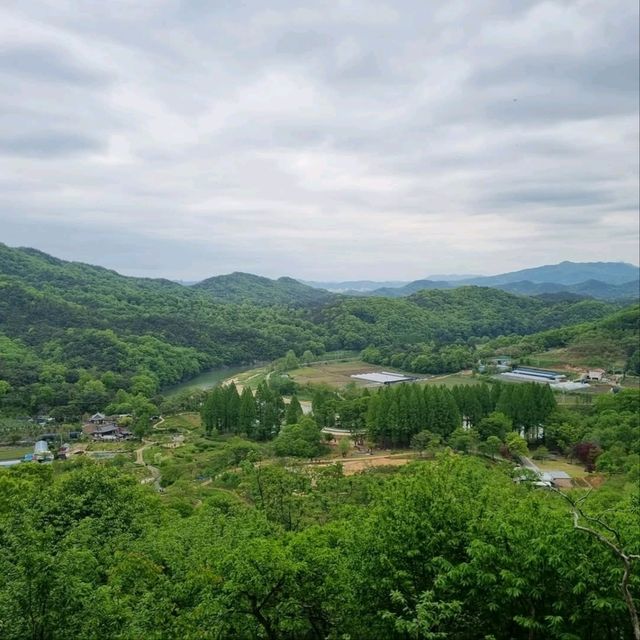 Daejeon Wanders