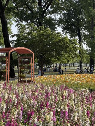Recommended One-Day Trip Itinerary in Jeungpyeong
