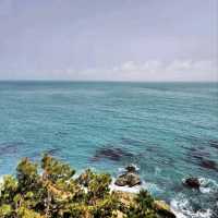 Cliff Walks, Ocean Breeze, and Zero Regrets