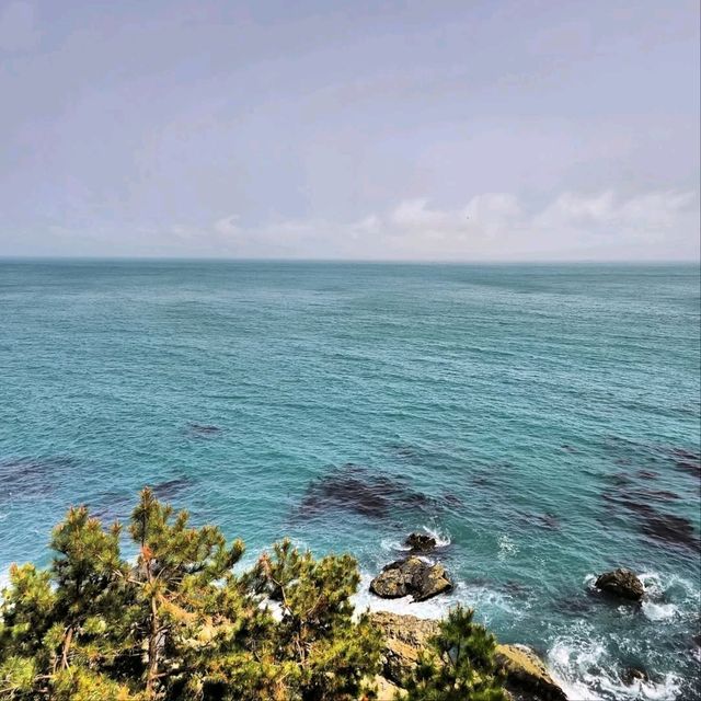 Cliff Walks, Ocean Breeze, and Zero Regrets