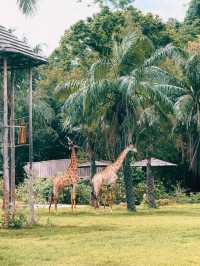 🌿🔥 走入野生奇蹟！綠山動物園大冒險！🌴🐘 🔥🌿