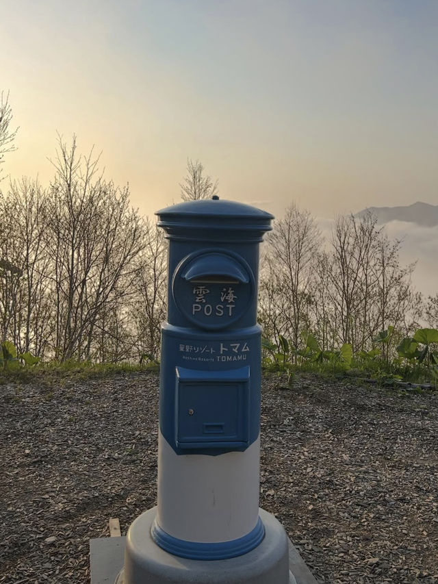 🎯【北海道・富良野雲海テラス（トマム）】朝焼けと雲海が出会う、天空のティータイム 