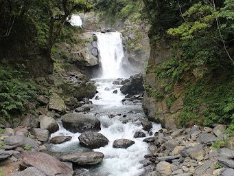 森林遊樂園區系列 PART7️⃣