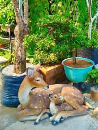 Garden Café Vibes – Zen Moments on a Budget