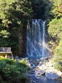 鹿兒島火山之旅