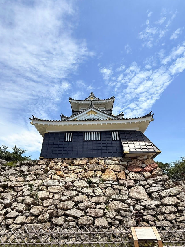🏯☀️ Summer Weekend in Hamamatsu: Castle, Music & Eel Delights