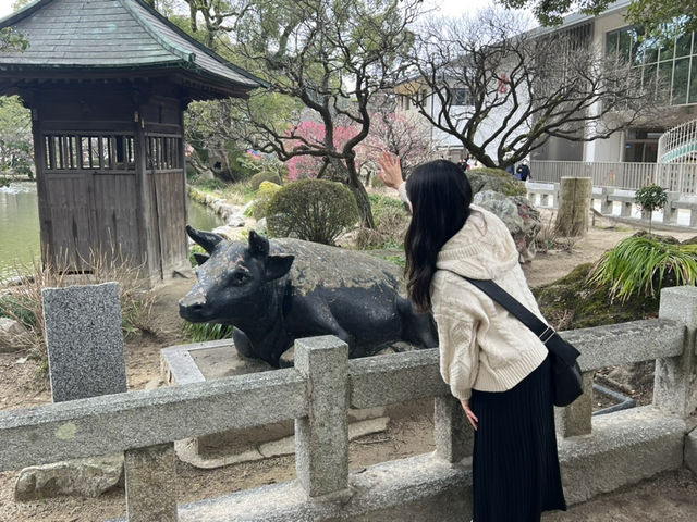 후쿠오카 버스투어로 하루 알차게 보내기!