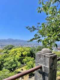 🏯 마쓰야마성 천수각 – 시내전망 관람 포인트 가이드