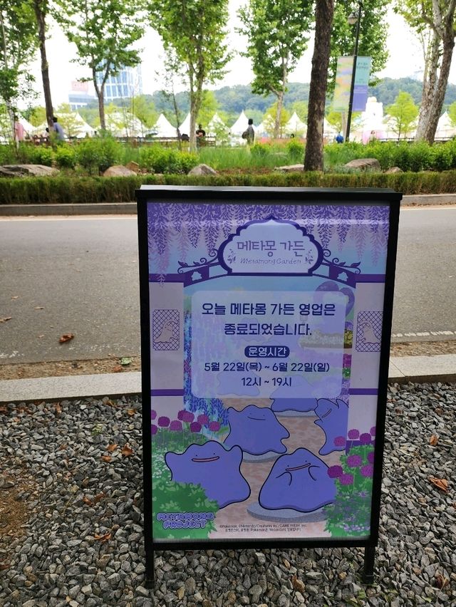 【ソウル🇰🇷】期間限定！メタモンガーデン🪻