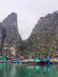 ⛵🌅 Sail into a Dream! | Halong Bay Cruise Adventure 🇻🇳✨