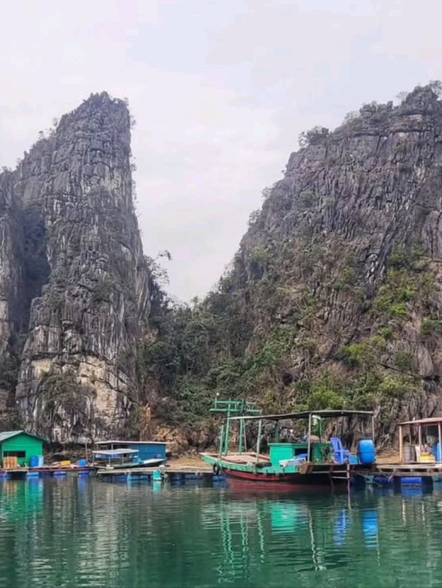 ⛵🌅 Sail into a Dream! | Halong Bay Cruise Adventure 🇻🇳✨