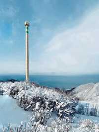 🚡空と海をつなぐ絶景旅「弥彦山ロープウェイ」で五感が満たされるひととき