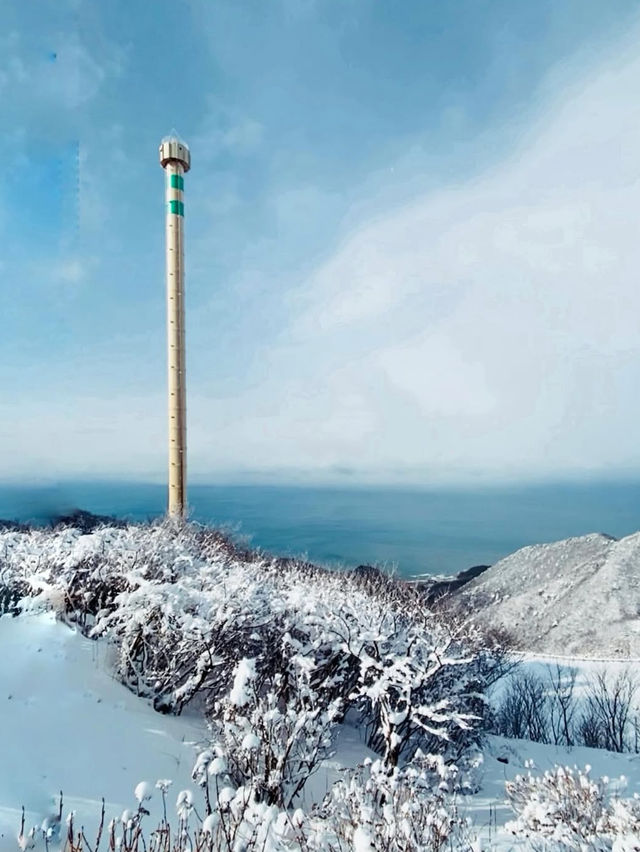 🚡空と海をつなぐ絶景旅「弥彦山ロープウェイ」で五感が満たされるひととき
