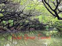 อเมซอนน้อย ที่ Sicao Green Tunnel