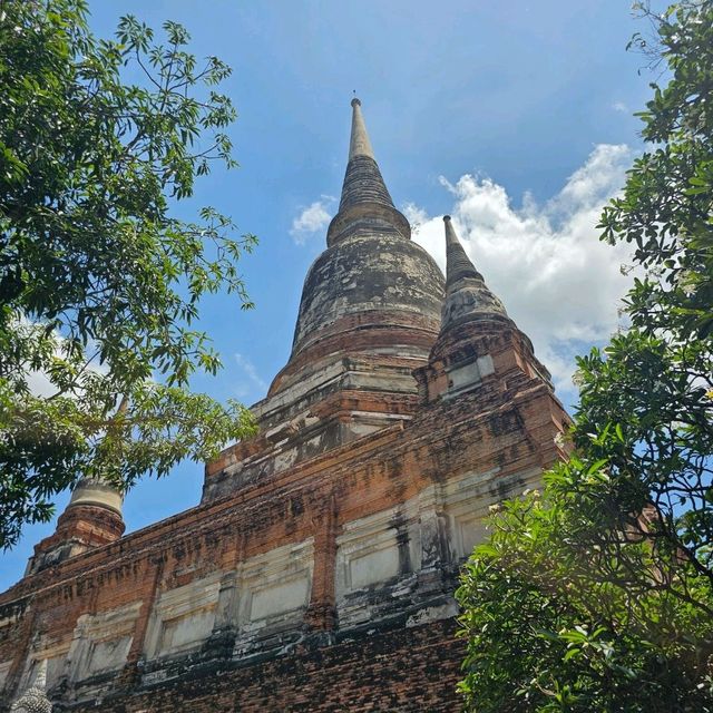 🌟ไหว้พระ วัดใหญ่ชัยมงคล | อยุธยา 🌟
