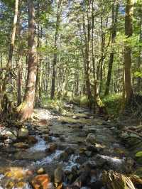 Hiking ที่พิชิตยอดเขาที่ คามิโคจิ