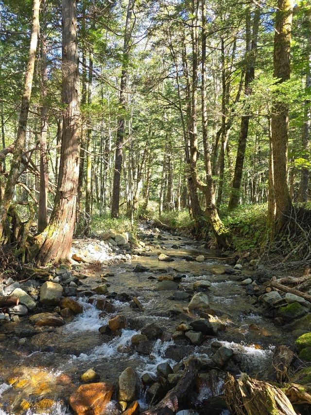 Hiking ที่พิชิตยอดเขาที่ คามิโคจิ