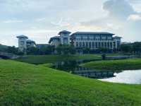 The University of Macau