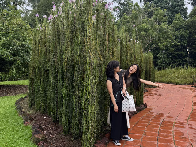 싱가포르 여행 꿀팁 ! ❤️🍯