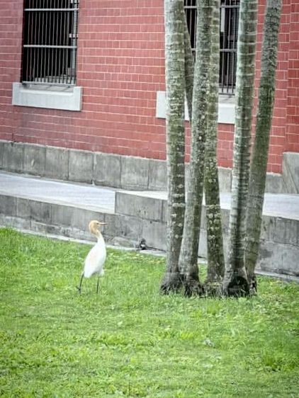 北投行義宮：都市山林中的靜謐祈福之地