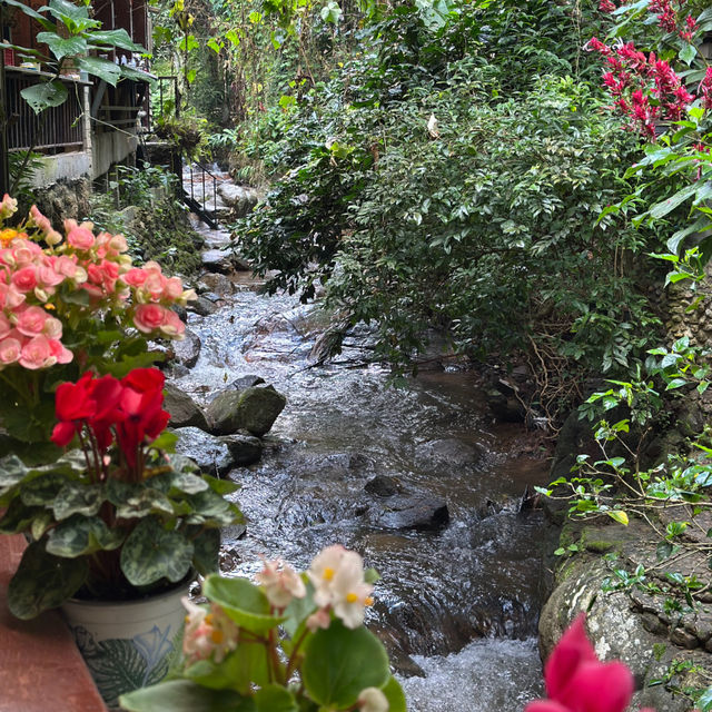 Baan Luem Huay — Where WiFi’s Weak but Peace is Strong