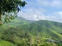 🌿 Highlands Escape at BOH Tea Plantation, Cameron Highlands