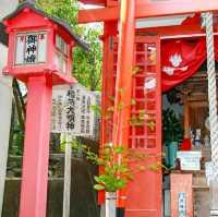 鯖大師