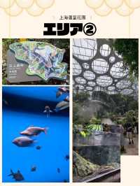 🇨🇳アジア最大級の植物園へ