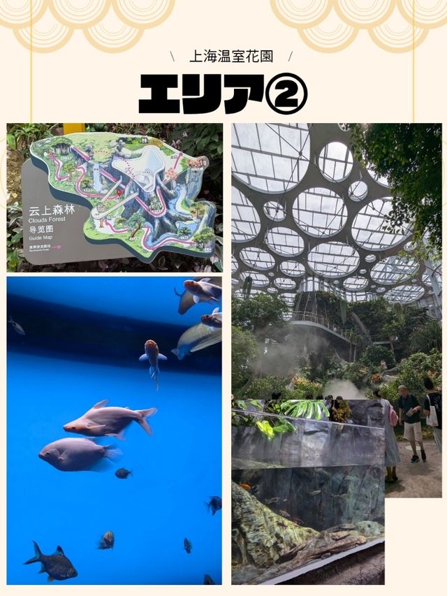 🇨🇳アジア最大級の植物園へ