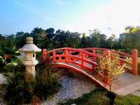 The Serene Floral Garden in Japanese gardens